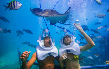 Podwodny Spacer Sea Trek (1,5h) – Odkryj Ocean Bez Umiejętności Pływania